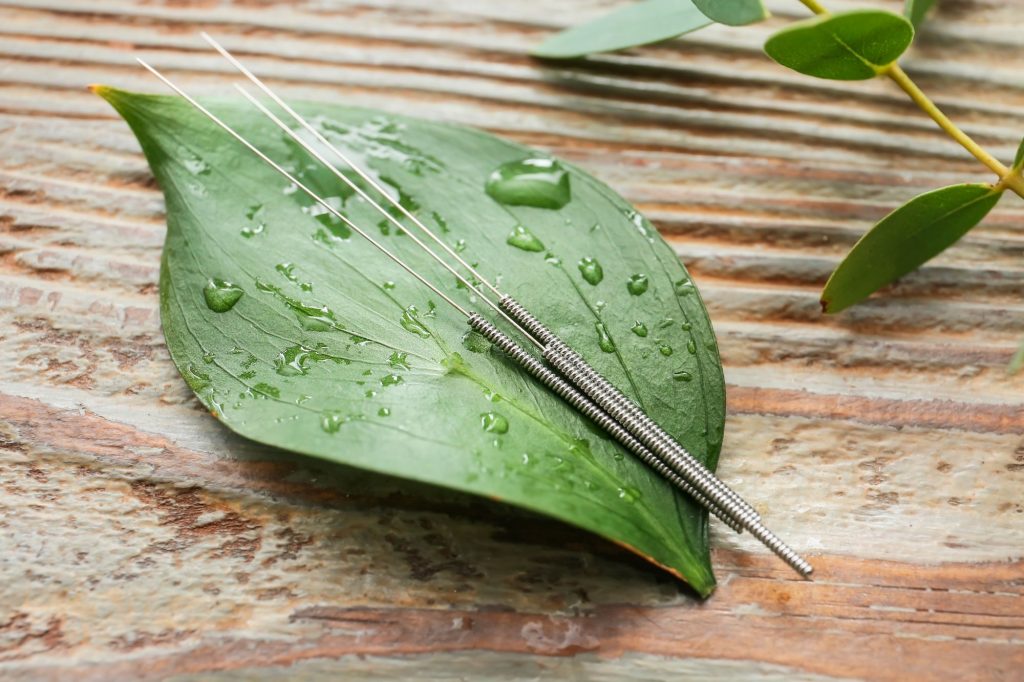acupuncture needles on a leaf